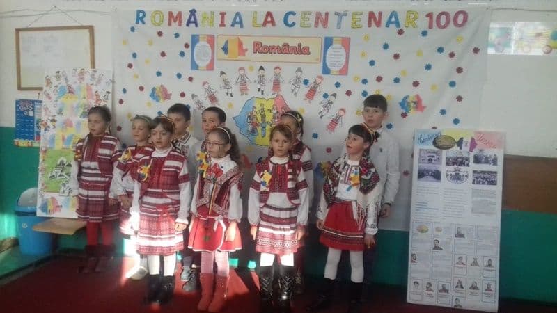 Pui de romanas 03