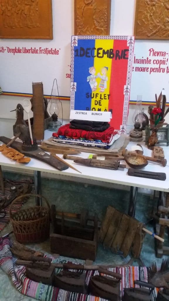 Centenar Scoala 8_01