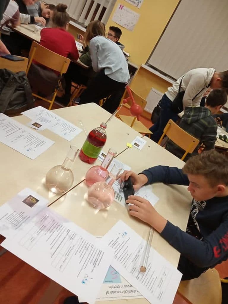 scoala ungureni 04