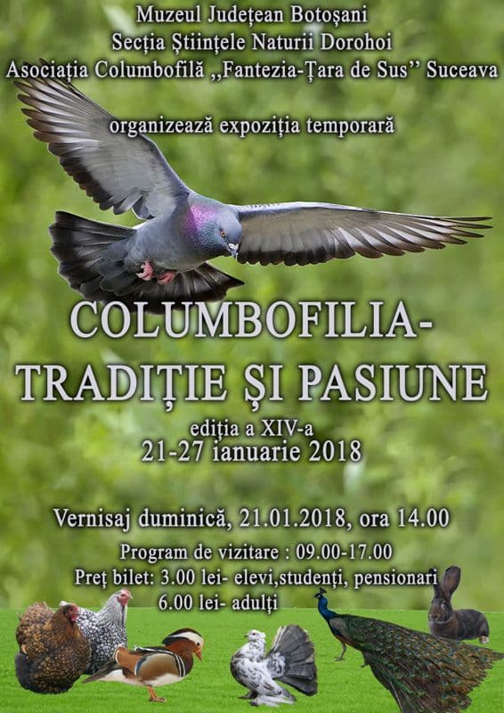 afis Columbofilia-traditie si pasiune