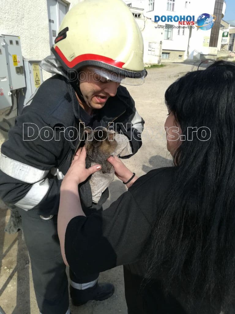 Animale salvate_03