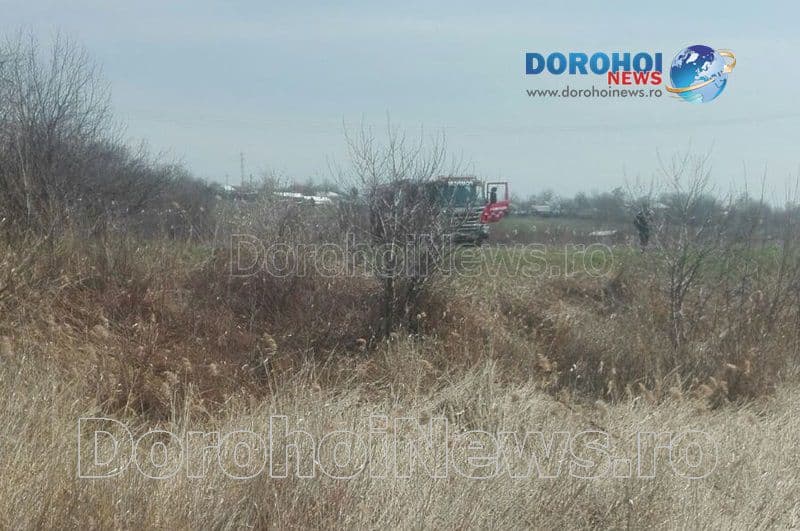 Incendiu vegetatie_01