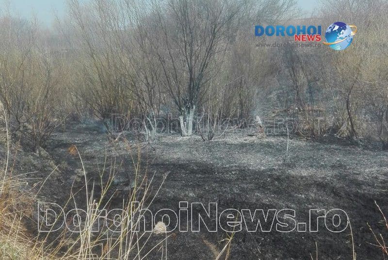 Incendiu vegetatie_03
