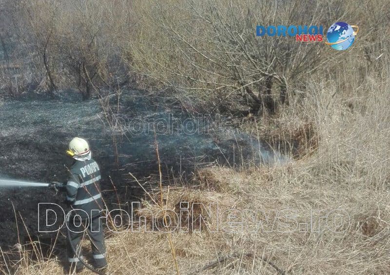 Incendiu vegetatie_04