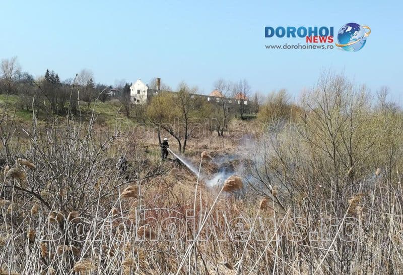 Incendiu vegetatie_05