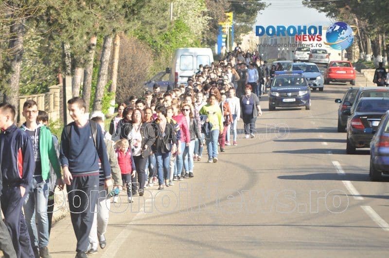 Plantare la Dorohoi01