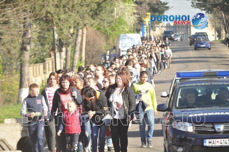 Plantare la Dorohoi02