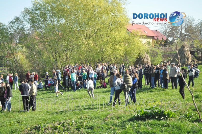 Plantare la Dorohoi05