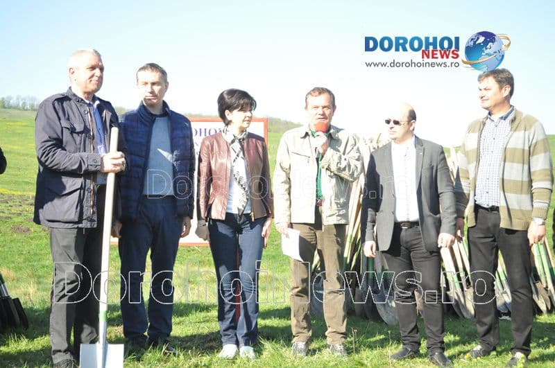 Plantare la Dorohoi07