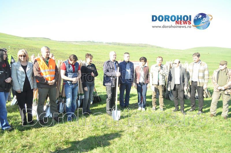 Plantare la Dorohoi08