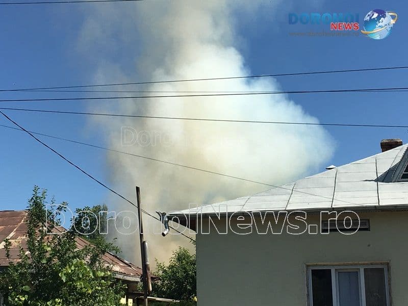 Incendiu furaje Broscauti_03