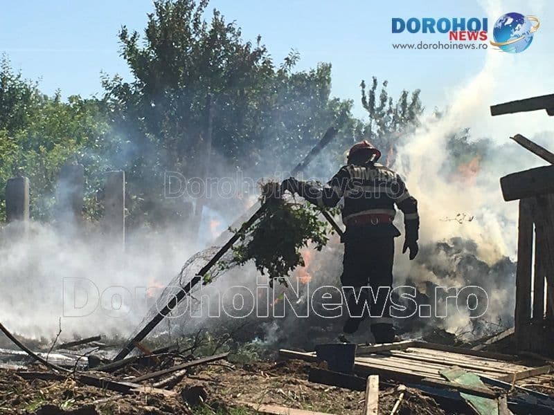 Incendiu furaje Broscauti_11