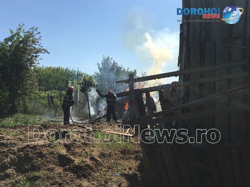 Incendiu furaje Broscauti_12