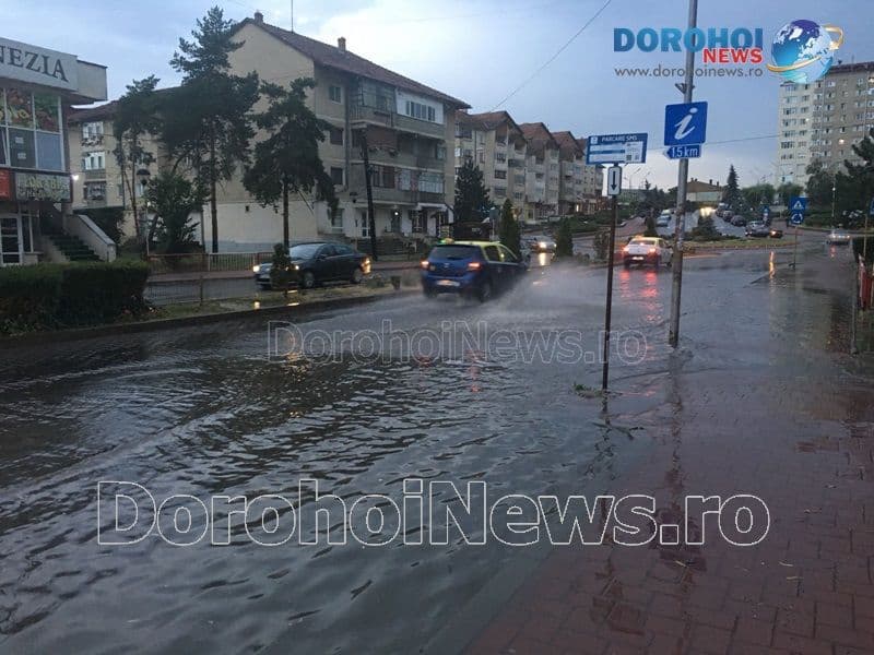 Furtuna Dorohoi_05