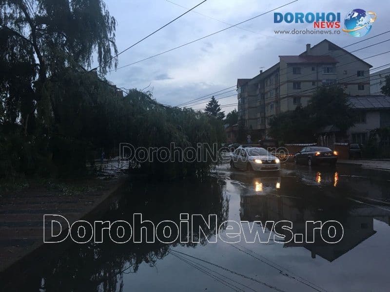 Furtuna Dorohoi_06