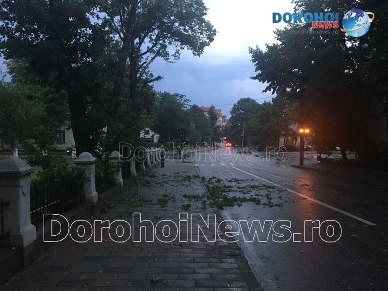 Furtuna Dorohoi_12