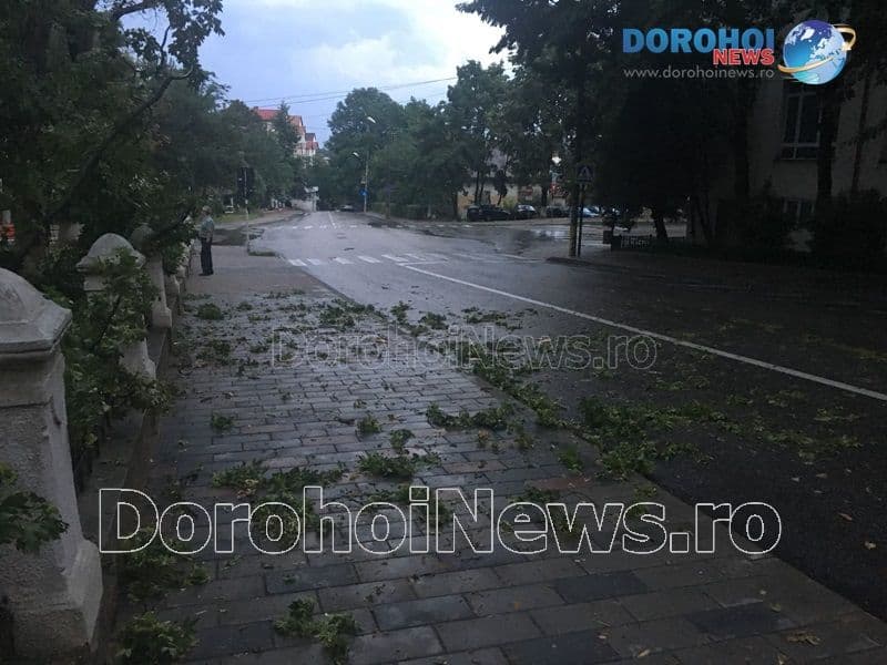 Furtuna Dorohoi_13
