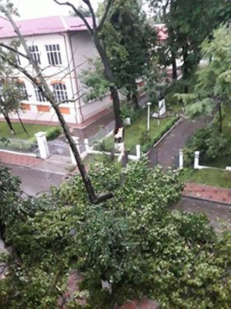 Furtuna la Dorohoi_02