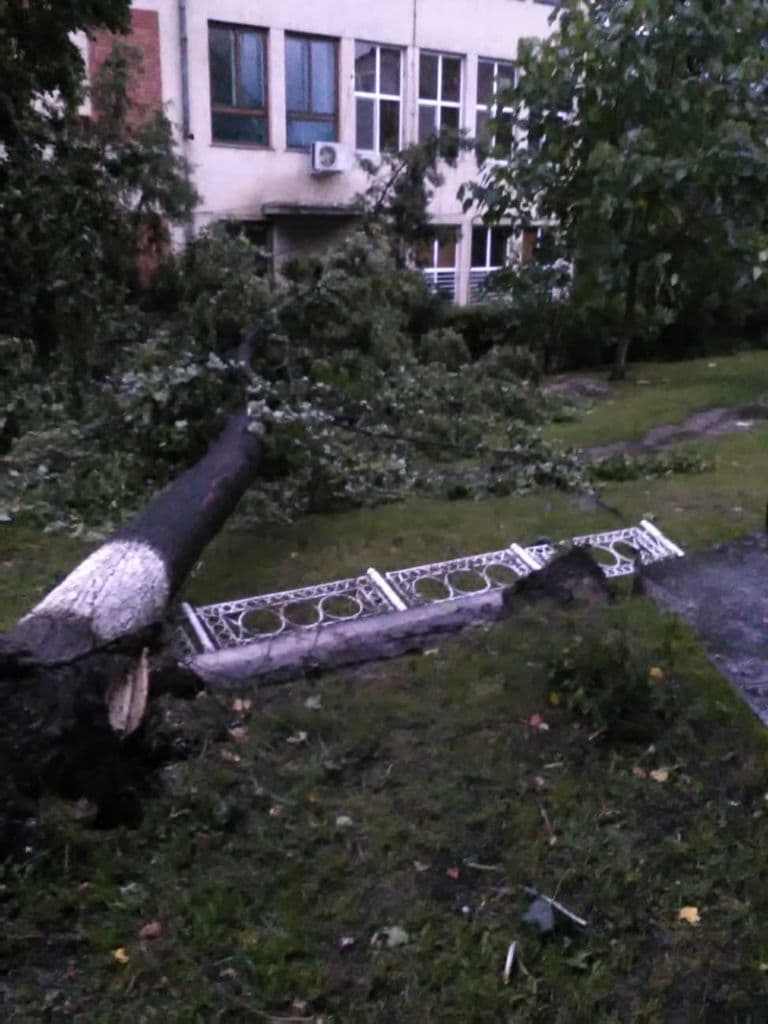 Furtuna la Dorohoi_03