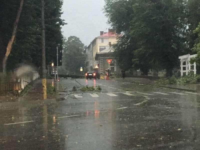 Furtuna la Dorohoi_05