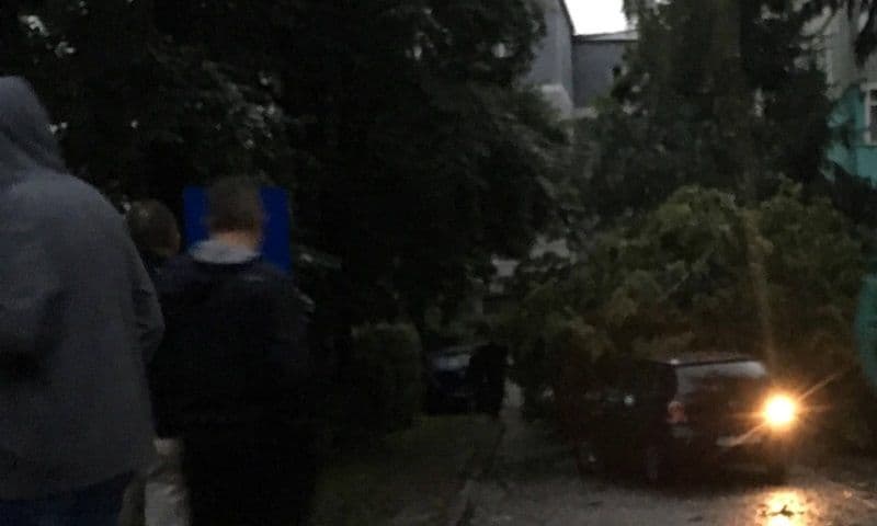 Furtuna la Dorohoi_10