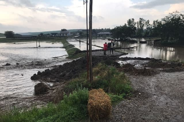 Inundatii (5)