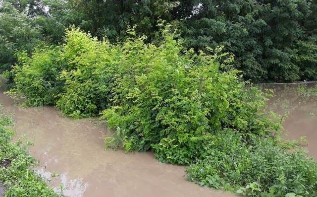 Inundatii (9)