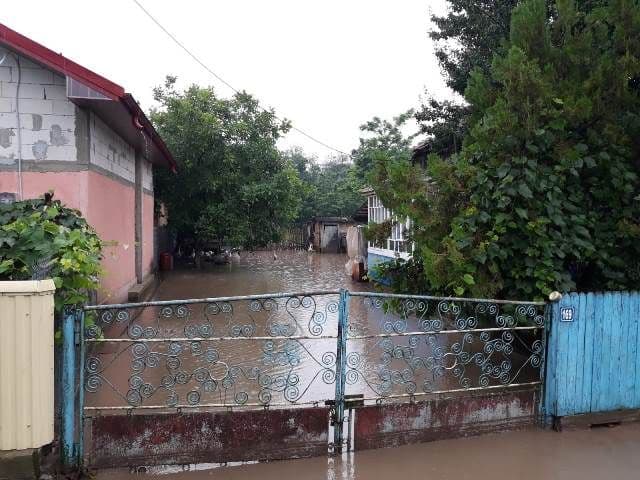 Inundatii (15)