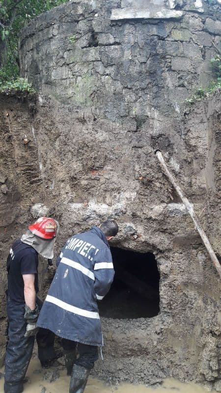 vaca salvata de pompieri (3)