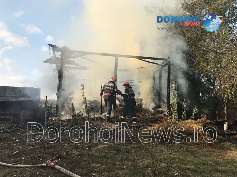 Incendiu Cobala_02