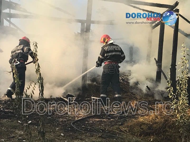 Incendiu Cobala_03
