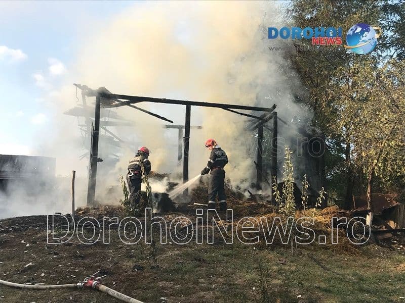 Incendiu Cobala_05