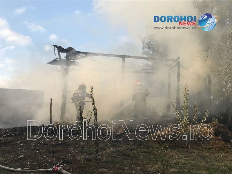 Incendiu Cobala_06