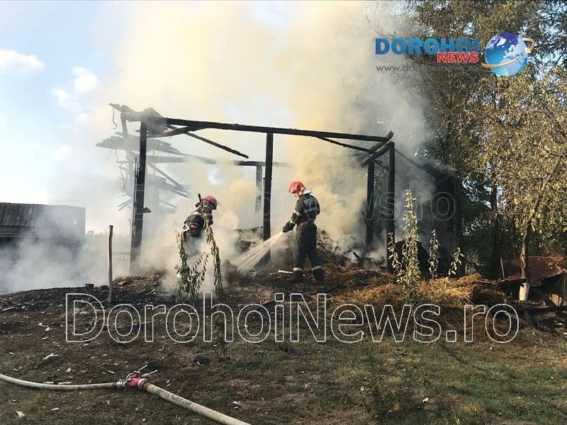Incendiu Cobala_07