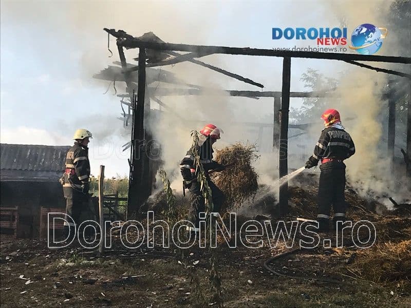 Incendiu Cobala_09