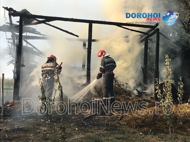 Incendiu Cobala_10