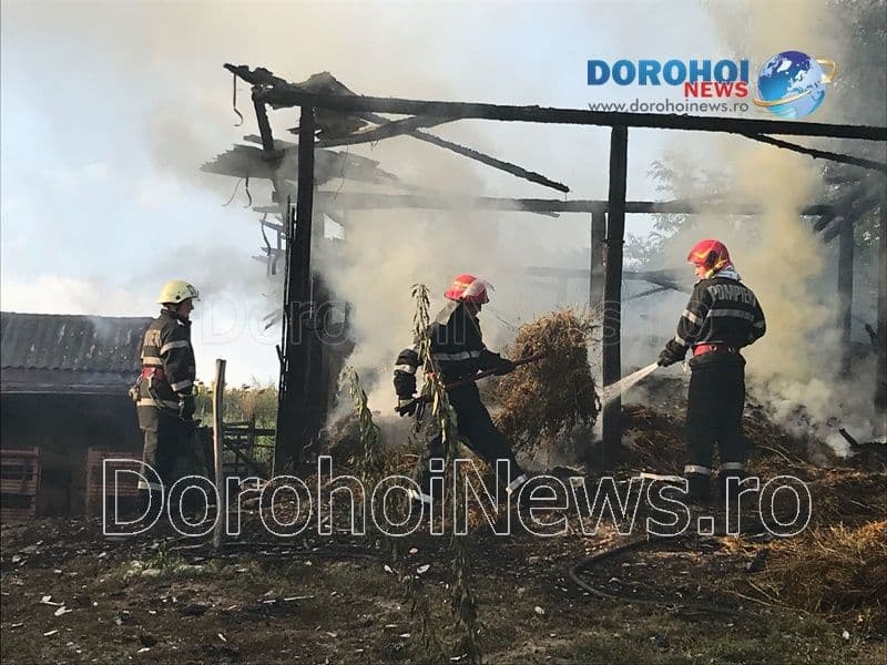 Incendiu Cobala_11