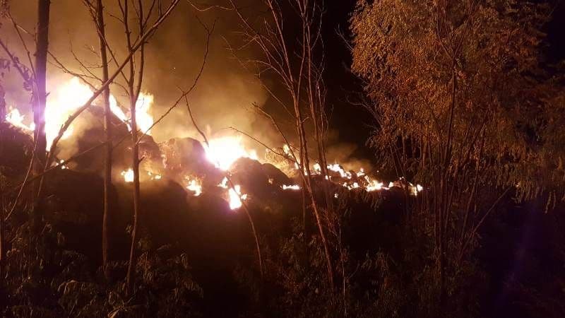 incendiu furaje (2)