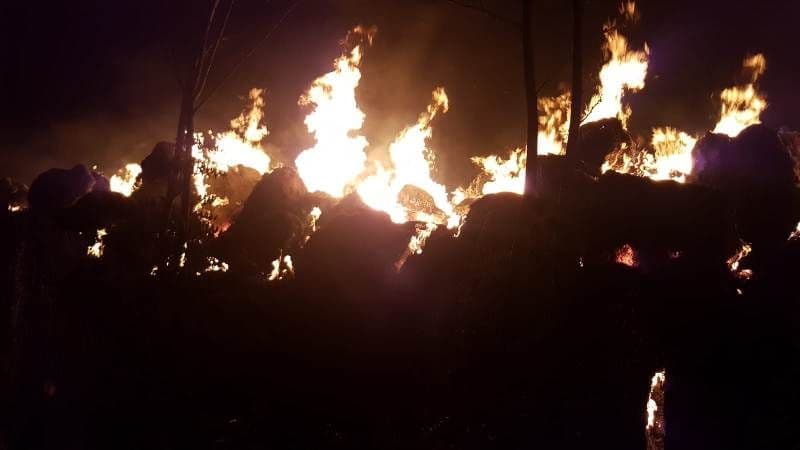 incendiu furaje (3)