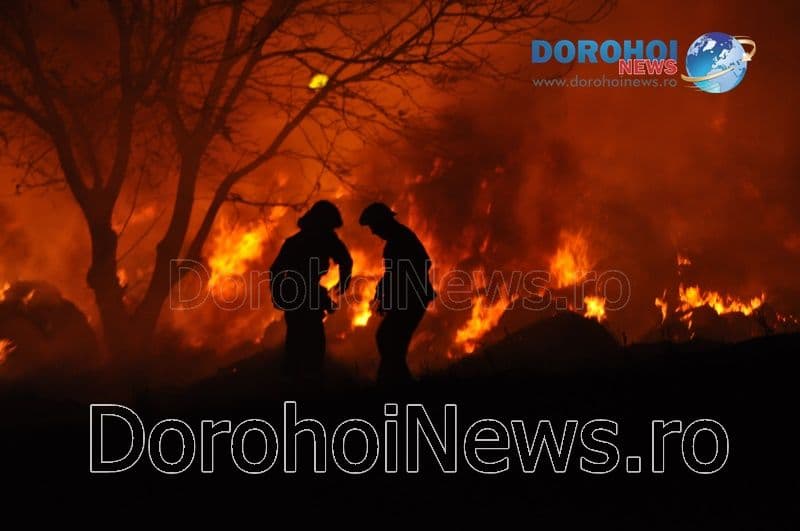 Incendiu Dragalina_03