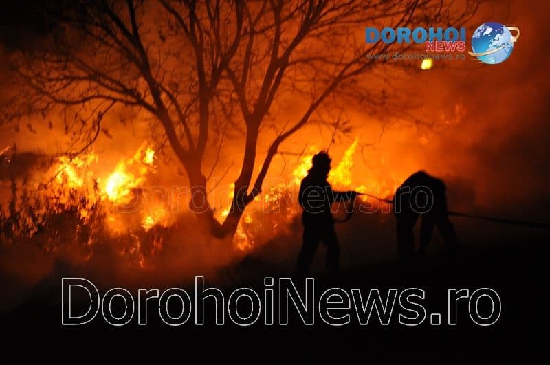 Incendiu Dragalina_05