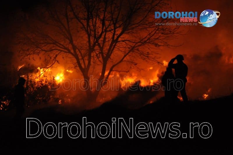 Incendiu Dragalina_06