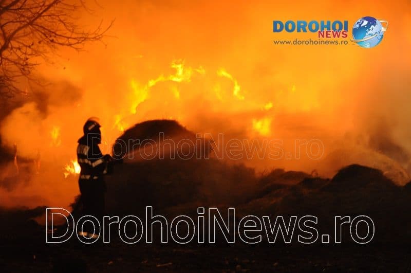 Incendiu Dragalina_14