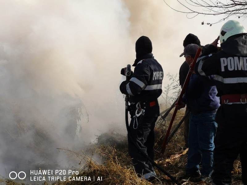 incendiu furaje (4)