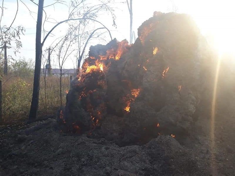 incendiu Bobulesti 06