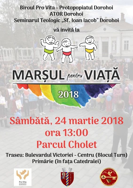 afis mpv 2018
