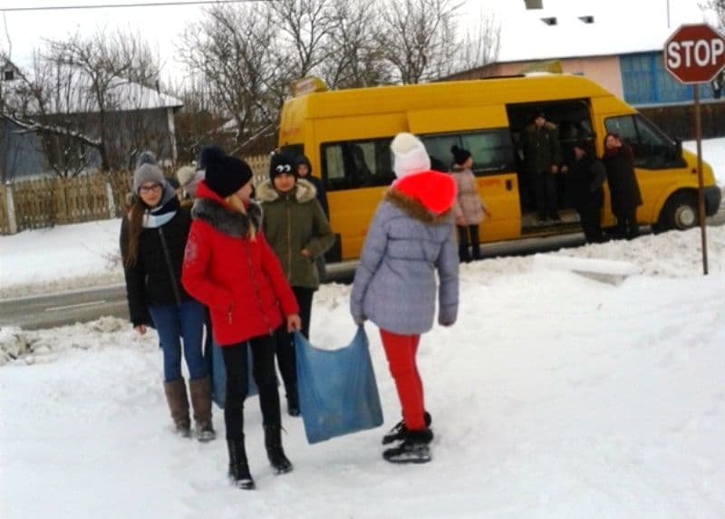 Activitate de voluntariat (4)