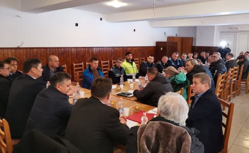 Întruniri de urgenţă după confirmarea apariţiei Pestei Porcine Africane pe teritoriul judeţului Botoșani - FOTO