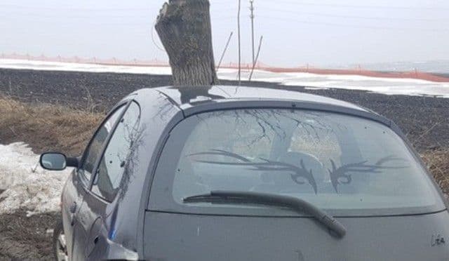 Peripeții la 15 ani! A distrus luneta unui autoturism apoi a furat un altul cu care a provocat un accident