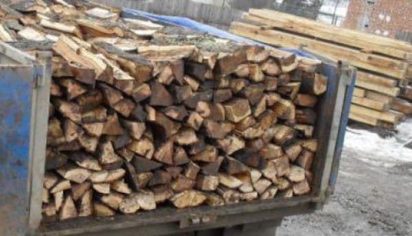 Acţiunea Scutul Pădurii: Amendă de 5 mii de lei transport de lemne fără documente legale